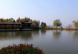 保护贡湖湾湿地科学投放白鲢鱼公益活动