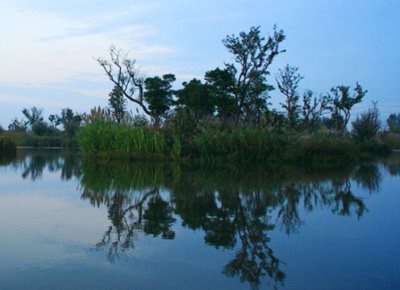 无锡梁鸿国家湿地公园