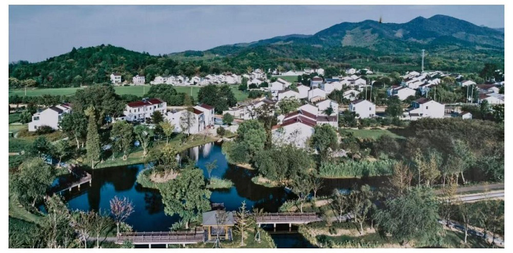 传扬生态之美 共守大美湿地